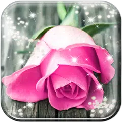 Pink Rose Live Wallpaper HD APK download