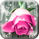 Pink Rose Live Wallpaper HD APK