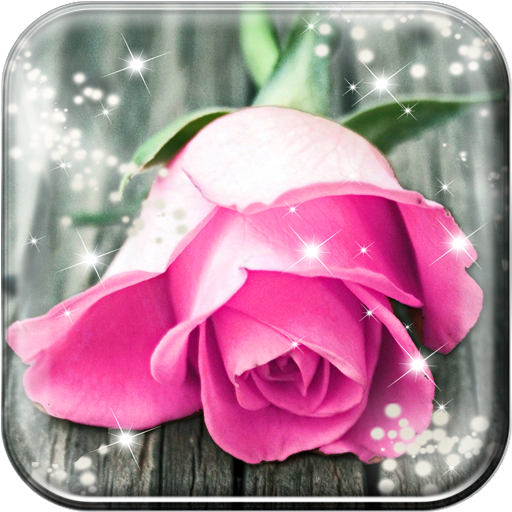 Pink Rose Live Wallpaper HD APK for Android – Download Pink Rose Live Wallpaper HD APK Latest Version from Pink Rose Live Wallpaper HD APK for Android – Download Pink Rose Live Wallpaper HD APK Latest Version from