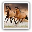 Mustangs Runnin live wallpaper APK