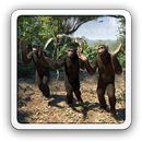 Dancing Chimpanzees live LWP APK
