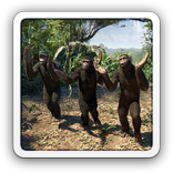 Dancing Chimpanzees live LWP