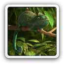 Cool Chameleon LWP APK