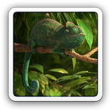 Cool Chameleon LWP
