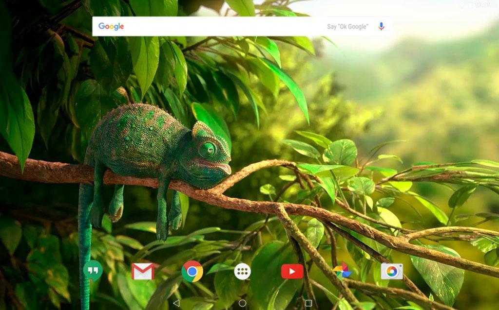Android 用の クールカメレオンライブ壁紙 Apk をダウンロード