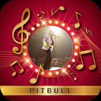 Pitbull : Full Collection Songs Best 2017 постер