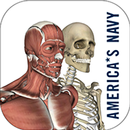 Anatomy Study Guide APK