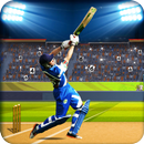 Campeonato de cricket real APK