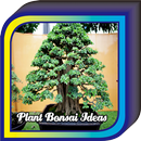 Plant Bonsai Ideas APK