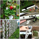 Garden Plant Ideas APK