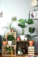 DIY Plant Stand screenshot 3