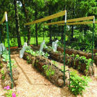 Planting in Hay Bales 아이콘