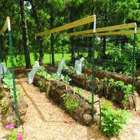 Planting in Hay Bales 포스터