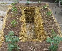 Planting in Hay Bales 스크린샷 2