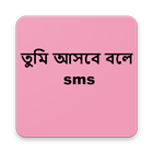 তুমি আসবে বলে SMS ícone