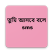 তুমি আসবে বলে SMS