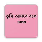 তুমি আসবে বলে SMS أيقونة