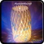 Plastic Bottle Craft