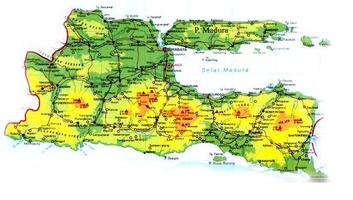 Plat Nomor Polisi Indonesia Screenshot 3