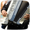 Accordion Lessons Guide