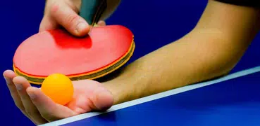 Ping Pong Guide