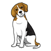 Beagles Wallpapers & Info