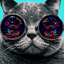 Trippy Experience Psychedelia APK