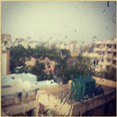 Pluie En Photo APK