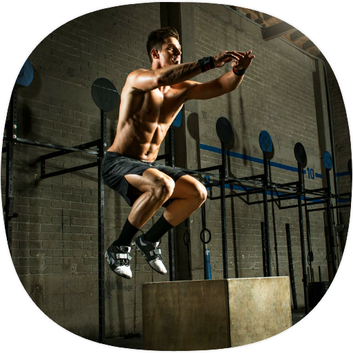 Plyometrics Exercises Guide