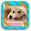 Funny Hamster So Cute APK