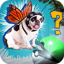 APK Pocket DOG GO