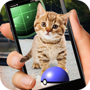 Pocket Kitten GO APK