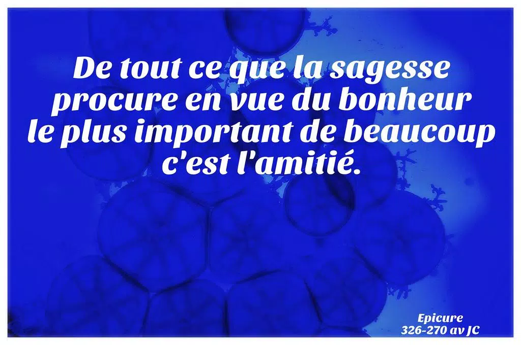 Poemes D Amour En Francais For Android Apk Download Poemes D Amour En Francais For Android Apk Download