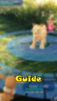 Guide for Pokemon Go captura de pantalla 2