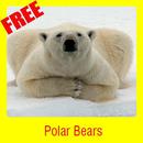 Polar Bears APK