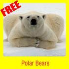 Polar Bears icône