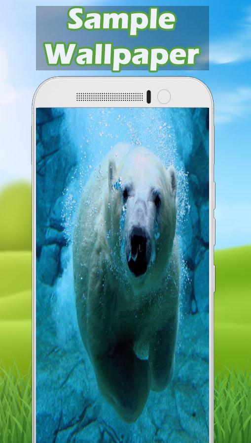 Polar Bear Wallpaper For Android Apk Download Polar Bear Wallpaper For Android Apk Download