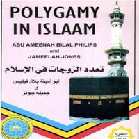 Polygamy in Islam Affiche