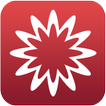 MathStudio