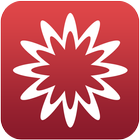 MathStudio icon