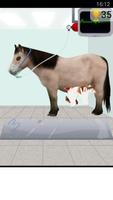 pregnancy pony surgery capture d'écran 2