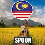 Lagu Spoon Malaysia 圖標