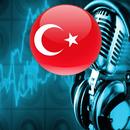 türkçe pop şarkılar 2017 APK