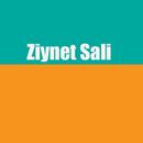 Ziynet Sali Top song APK