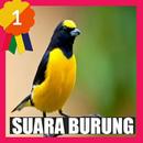 Suara Burung Betina APK