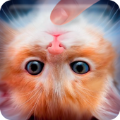 Pet Cats icon