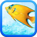 APK Pacific Fishing 24