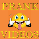 Prank Videos Funny & Viral أيقونة