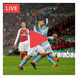 Premier League Live Streaming TV icône