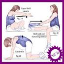 गर्भवती व्यायाम APK